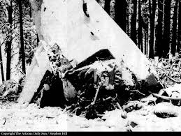 Empire Airlines, opf FedEx · N746FE accident — 2 km SSE of Flagstaff-Pulliam Field, AZ (FLG), 1995-01-11 — photo 1