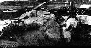 Channel Air Lift · N30046 accident — Hilo International Airport, HI (ITO), 1967-01-06 — photo 2